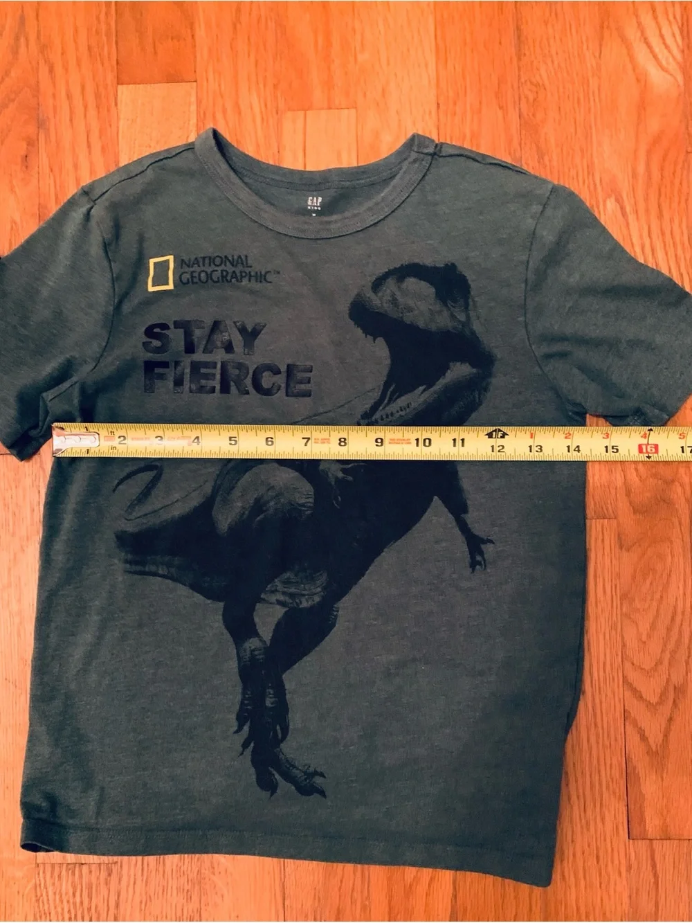 Boys Size M Shirt Bundle: Black Luke Combs, Green Gap National Geographic Dinosa